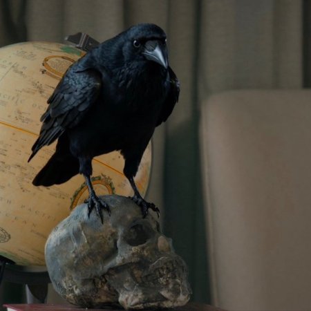 Revamp the Undead Story (2025)