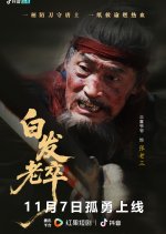 Bai Fa Lao Zu Chinese Drama(2025) photo