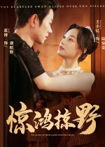 The Startled Swan Glides over the Fields Chinese Drama(2025) photo