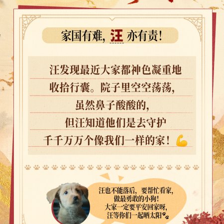 Fight for Love (2025)