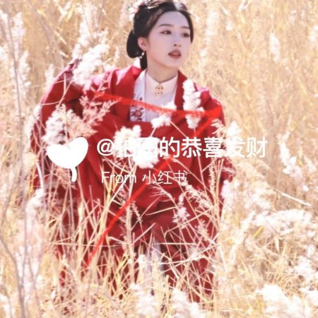 The Road to Splendor ()