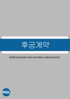 The Concubine Contract poster