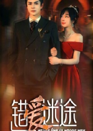 Wrong Love in Wrong Way poster