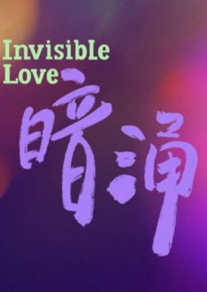Invisible Love () poster