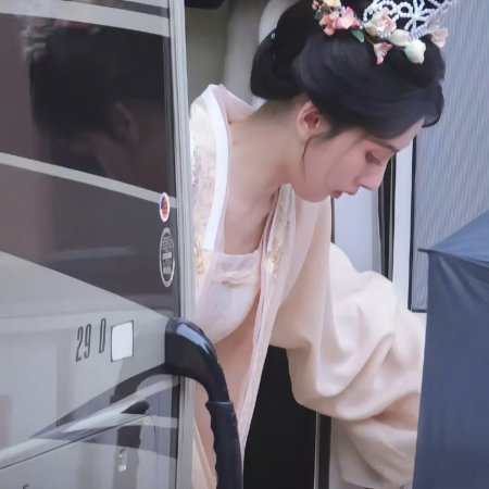 The Palace Stewardess ()