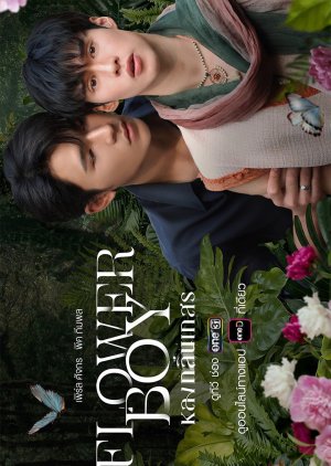 Flower Boy (0000) poster