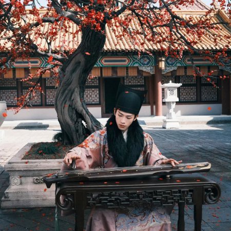 A Ming Dynasty Adventure ()