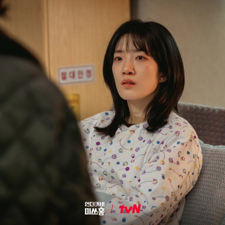 Undercover Miss Hong (2026)