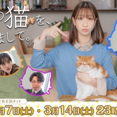 Moto Kare no Neko wo, Azukarimashite. Japanese Drama(2026) photo