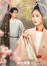 My Valiant Wife Chinese Drama(2026) photo