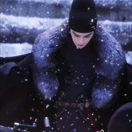 The Palace Stewardess ()