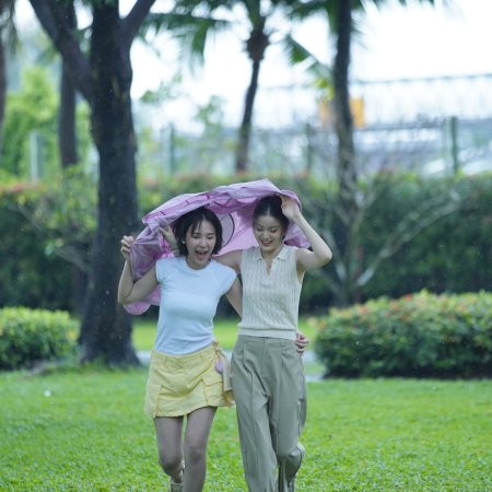 Play Park (2026)