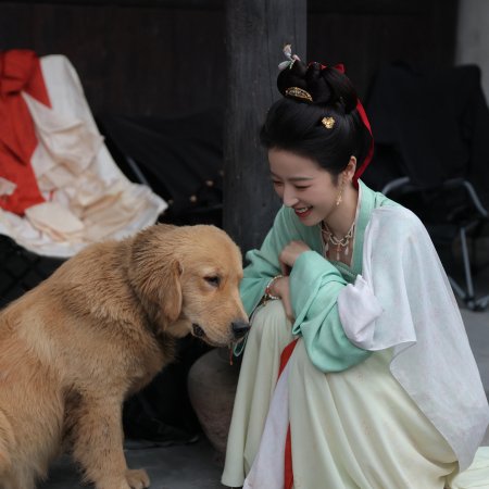 Swords into Plowshares (2026)