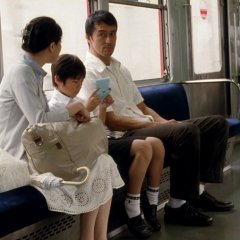 Still Walking Japanese Movie photo