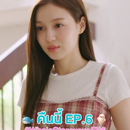 Whale Store xoxo (2025)