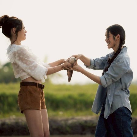 Hometown Romance (2026)