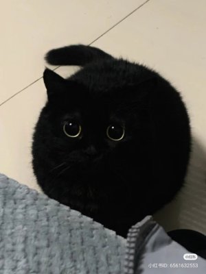 sleepyd33