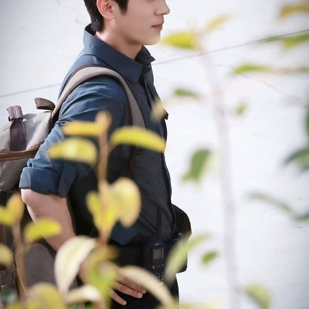 The Leading Stars ()