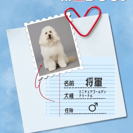 Hatsukoi DOGs (2025)