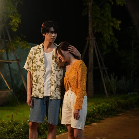 Summer Night (2024)