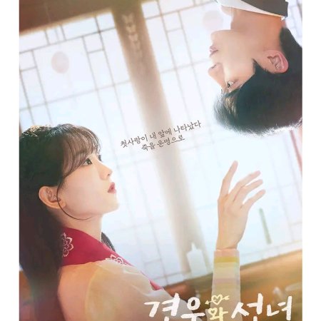 Head over Heels (2025)