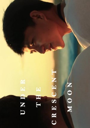 Under the Crescent Moon poster