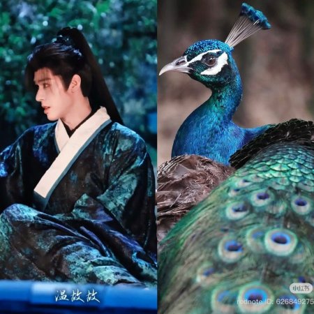 The Legend of Lu Xiaofeng ()