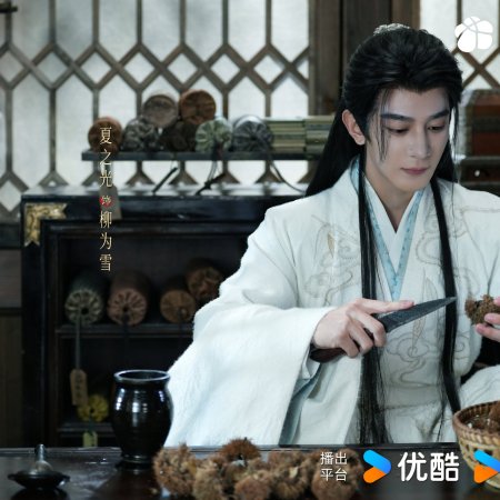 Xia Zhi Guang