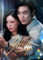 Indulge Chinese Drama(2025) photo
