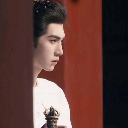 Jiang Shan Wei Pin ()