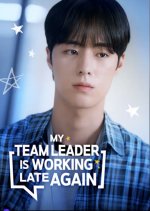 My Team Leader Is Working Late Again Korean Drama(2025) photo