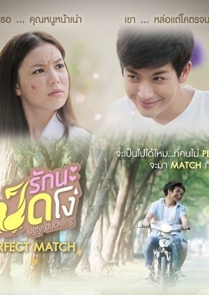 Ugly Duckling Series: Perfect Match Special (2015) poster