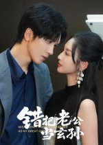 Mistakenly Took My Husband as My Great-Grandson Chinese Drama(2025) photo