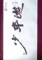 Shao Nien Yu