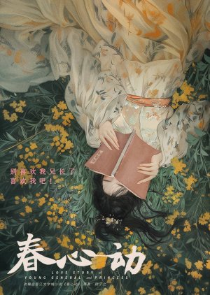 Love Story of Young General and Princess () poster