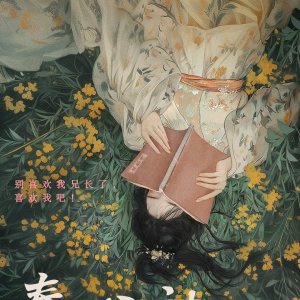 Love Story of Young General and Princess ()