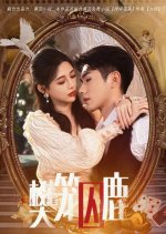 Trapped in a Cage Chinese Drama photo