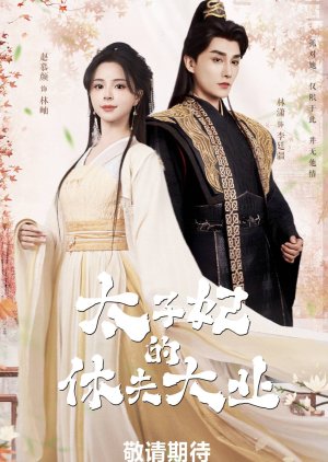 Tai Zi Fei De Xiu Fu Da Ye () poster