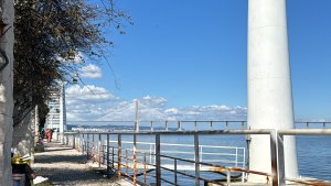 UMIIshi