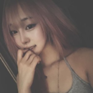 yangkiitten