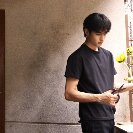 Love for You (2026)
