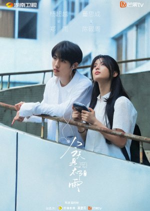 Sunshine through the Rain poster