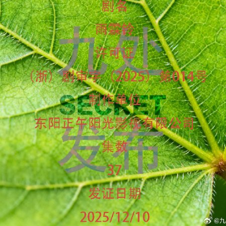 Zhan Zhao Adventures ()