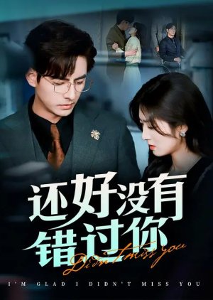 I’m Glad I Didn’t Miss You (2025) poster