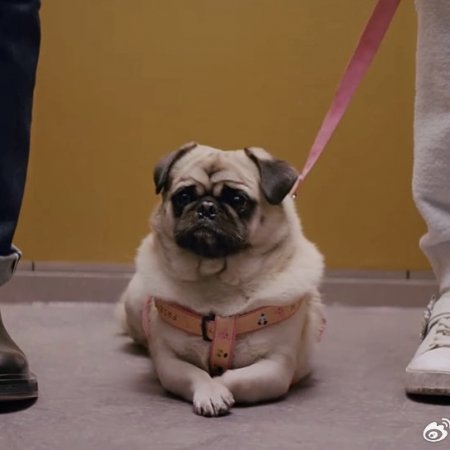 Why Is He Still Single? (2025)