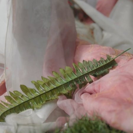 Whispers of Fate (2025)