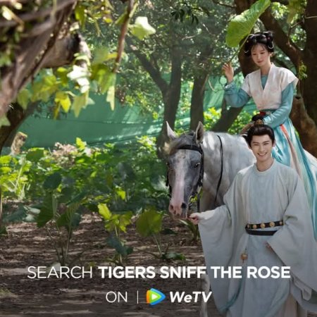 Tigers Sniff the Rose (2026)