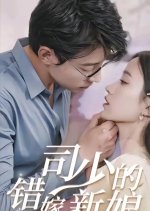 Si Shao De Cuo Jia Xin Niang Chinese Drama(2024) photo