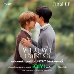 The Next Prince: Uncut Thai Drama photo