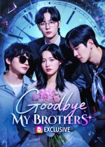 Goodbye, My Brothers Korean Drama(2025) photo